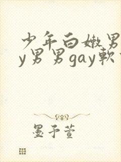 少年白嫩男gay男男gay软件