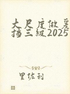 大尺度做爰无遮挡三级2025封面