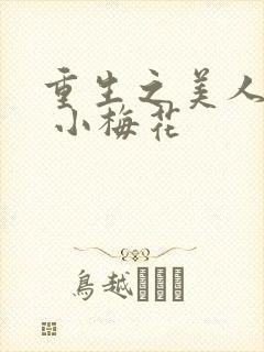重生之美人君事 小梅花