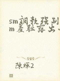 sm调教强制女m羞耻露出小说