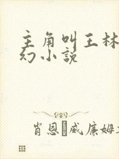 主角叫王林的玄幻小说封面