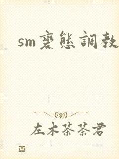 sm变态调教文