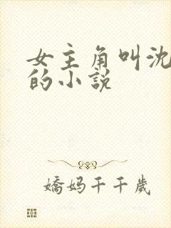 女主角叫沈清漪的小说封面