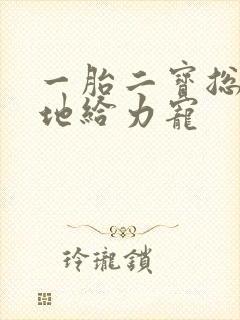 一胎二宝总裁爹地给力宠封面