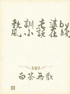 教训老婆by火风小说在线阅读全文