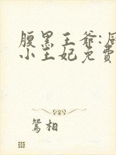 腹黑王爷:厨神小王妃免费阅读