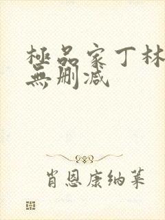 极品家丁林晚荣无删减