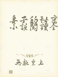 妻子的秘密吴双小说阅读全文