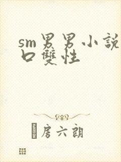 sm男男小说重口双性