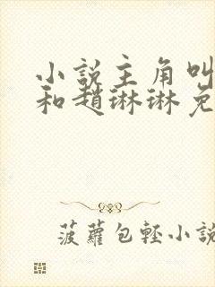 小说主角叫陈凡和赵琳琳免费阅读封面