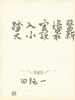 踏入官场医道问天小说最新章节