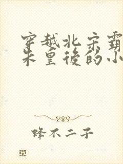 穿越北宋霸占了朱皇后的小说