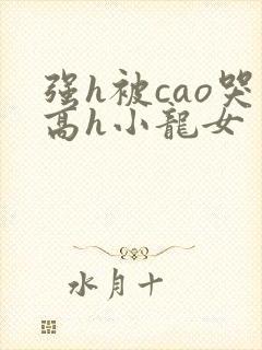 强h被cao哭高h小龙女封面