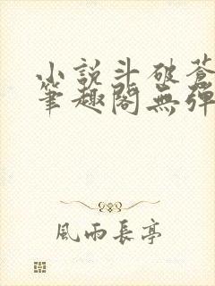 小说斗破苍穹新笔趣阁无弹窗