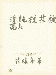 清纯校花被调教高h