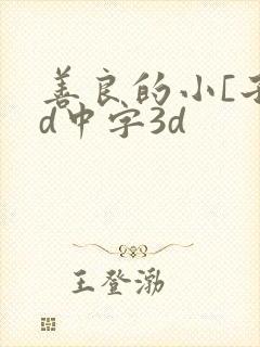 善良的小[子hd中字3d