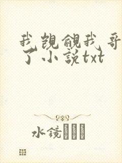 我觊觎我哥很久了小说txt