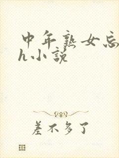 中年熟女忘年恋h小说