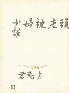 少妇被老头操小说