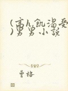 (高h,饥渴受)男男小说