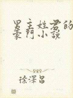 男主姓君的现代豪门小说