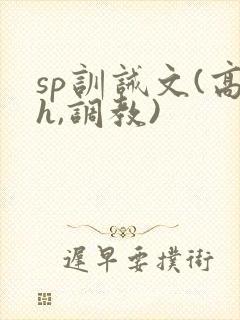 sp训诫文(高h,调教)