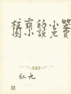 校霸的小哭包校园小说免费阅读姜甜苏