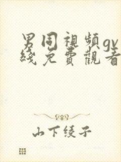 男同视频gv在线免费观看