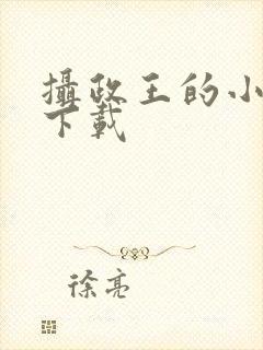 摄政王的小闲妻下载