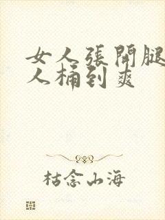 女人张开腿让男人桶到爽