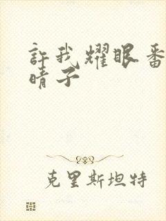 许我耀眼番外夏晴子