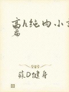 高h纯肉小说短篇