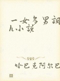 一女多男调教高h小说