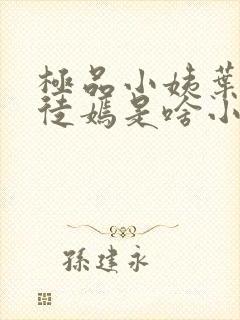 极品小姨叶凡司徒嫣是啥小说封面