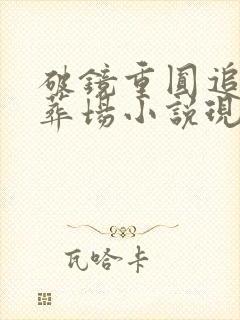 破镜重圆追妻火葬场小说现代言情