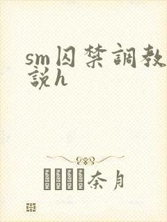 sm囚禁调教小说h