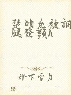 楚明允被调教到腿发颤h