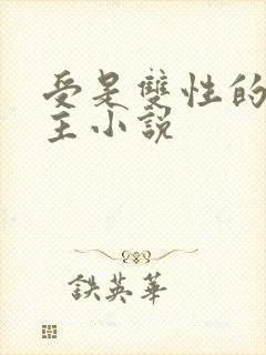 受是双性的双男主小说