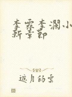 李霖李澜小说最新章节封面