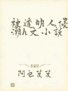 被透明人侵犯高潮h文小说