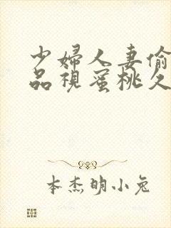 少妇人妻偷人精品视蜜桃久久九七