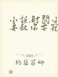 小说,财阀小娇妻叔你要宠坏我了封面