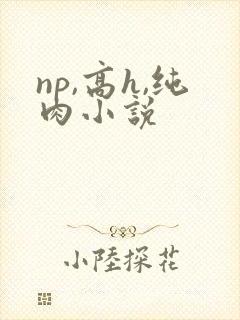 np,高h,纯肉小说