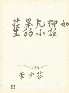 庄毕凡柳如烟楚生的小说封面