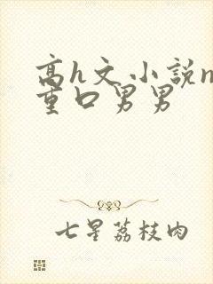 高h文小说np重口男男