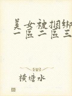 美女被捆绑调教一区二区三区