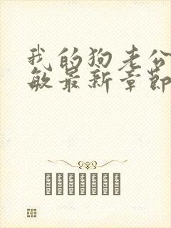 我的狗老公张淑敏最新章节免费阅读封面