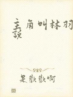 主角叫林羽的小说封面