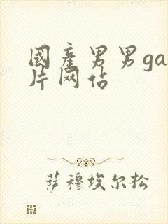 国产男男gay片网站