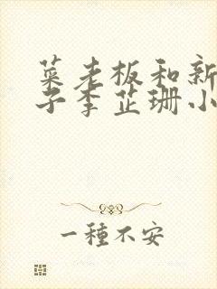 菜老板和新婚妻子李芷珊小说